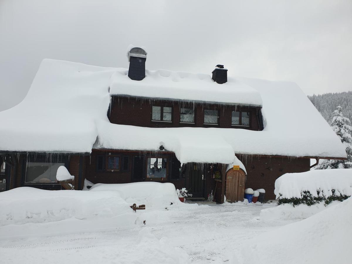 Am Sommerberg - Greschuk Apartments フェルトベルク エクステリア 写真