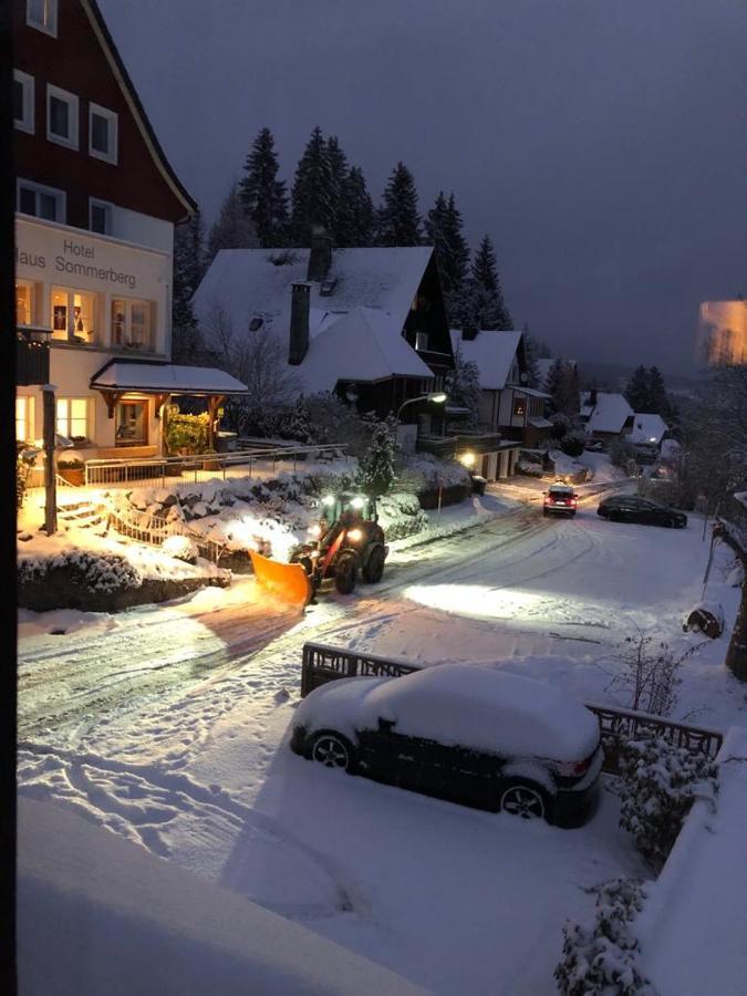 Am Sommerberg - Greschuk Apartments フェルトベルク エクステリア 写真