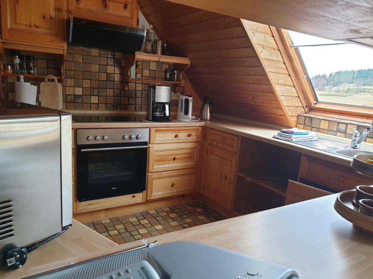 Am Sommerberg - Greschuk Apartments フェルトベルク エクステリア 写真